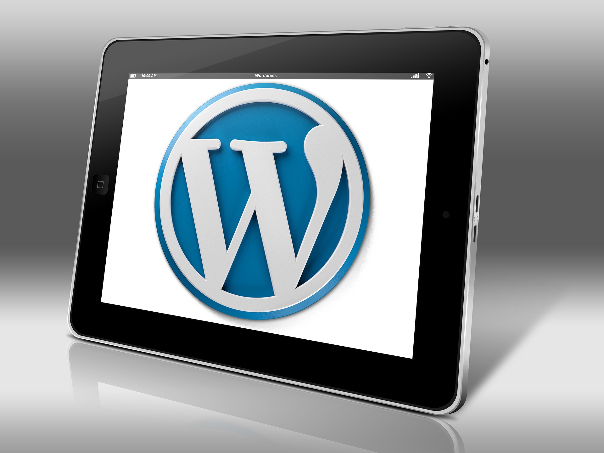 Wordpress фото